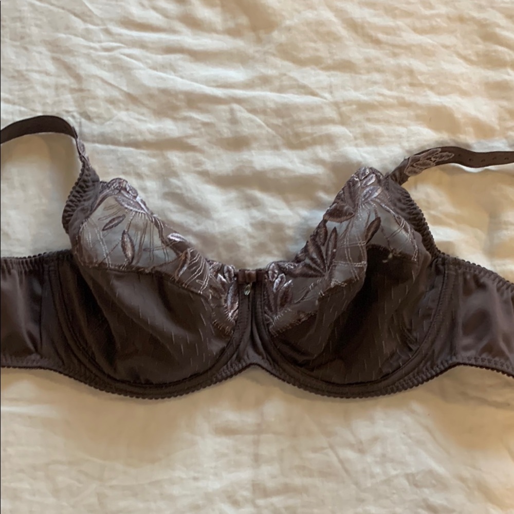 Elegant Eggplant/Purple Unlined  Lace Bra